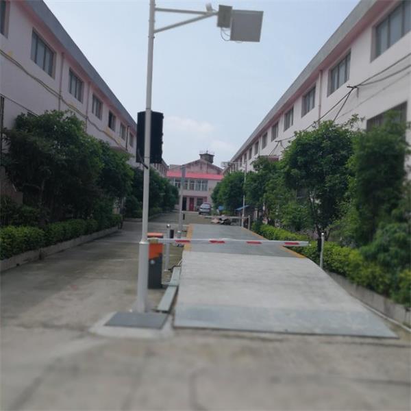 “电子草莓视频APP在线观看下载”和“汽车衡”到底有什么不同?居然还有70%人分不清楚